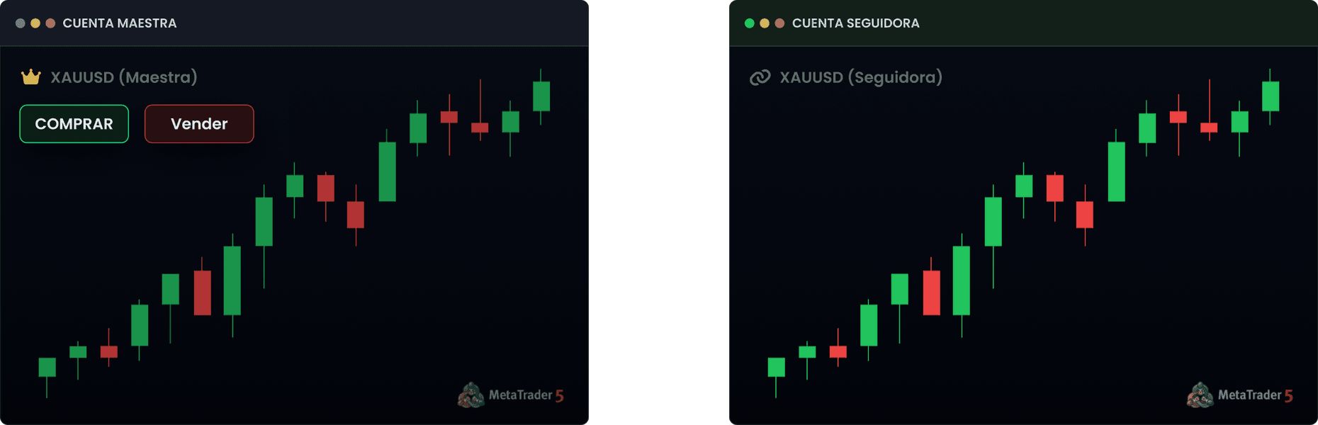 El Trade Copier más rápido: cuenta principal copiando operaciones a la subcuenta