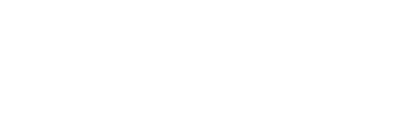 ZIWOX logo