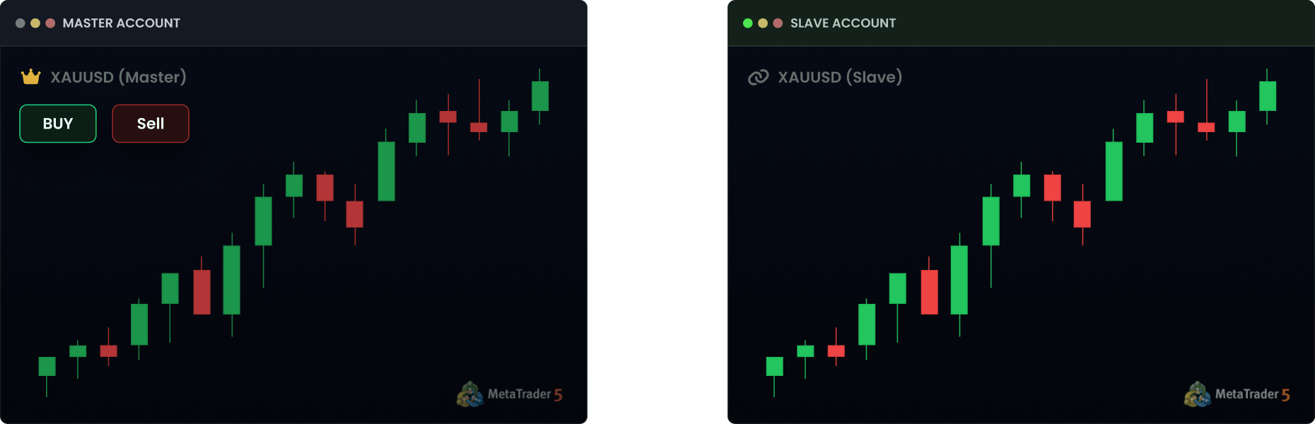 Fastest trade copier - Master account copying trades to slave account