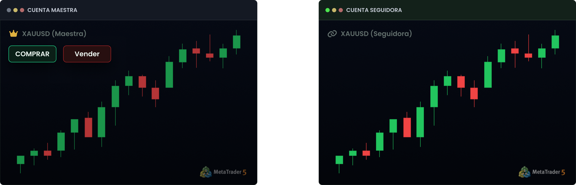 Fastest trade copier - Master account copying trades to slave account