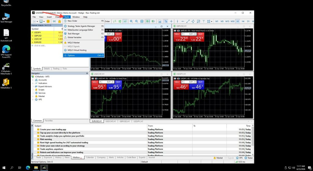 MetaTrader 5 Tools menu with Options highlighted