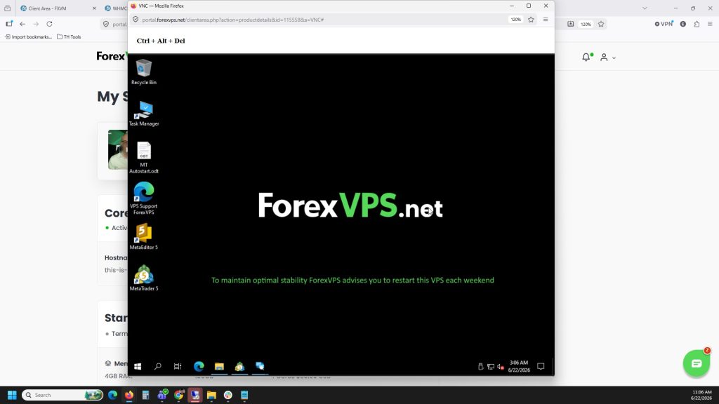 ForexVPS desktop shown after successful VNC login